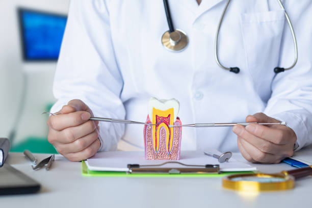 Best Holiday Emergency Dentist in Roosevelt Park, MI